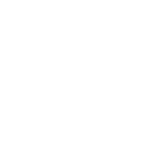 honda-11 1
